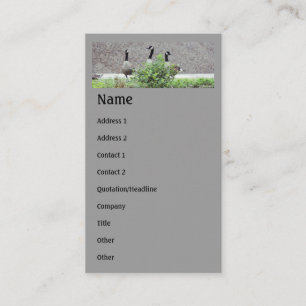Wild Canada Geese Animal Business Card