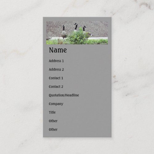 Wild Canada Geese Animal Business Card