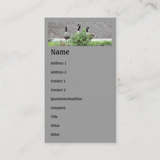 Customizable Wild Canada Geese Animal Business Card
