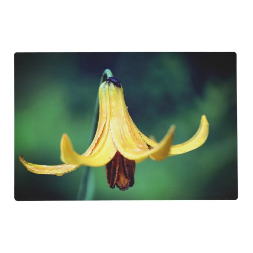 Wild Canada Lily With Insect   Placemat