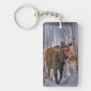 Wild Canadian Moose Cow in Winter Snow I Keychain