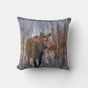 Wild Canadian Moose Cow in Winter Snow Throw Pillow