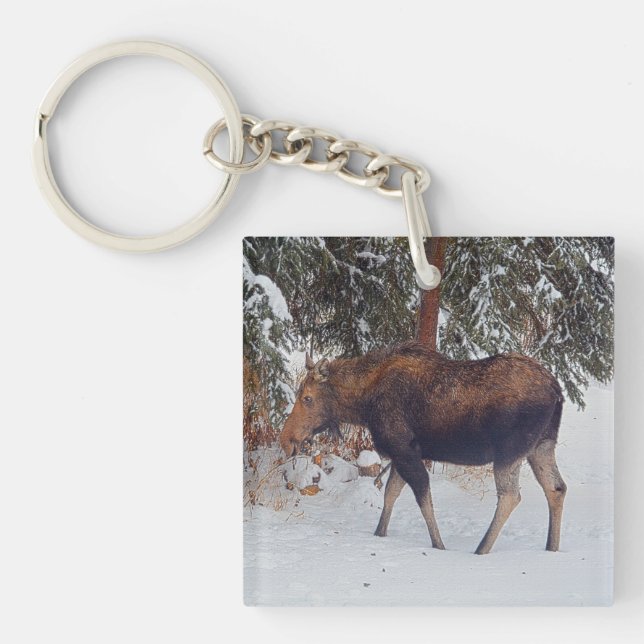 Wild Canadian Moose Cow in Winter Snow V Keychain (Front)