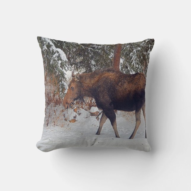 Wild Canadian Moose Cow in Winter Snow V Throw Pillow (Front)