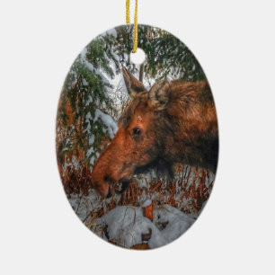 Wild Canadian Moose Grazing in Winter Forest Ceramic Ornament