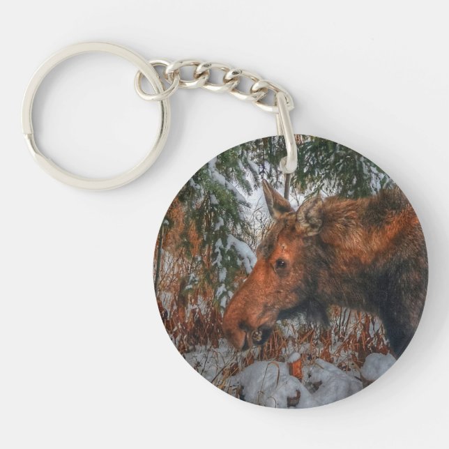 Wild Canadian Moose Grazing in Winter Forest III Keychain (Front)