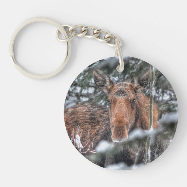 Wild Canadian Moose in Winter Forest Keychain (Front)