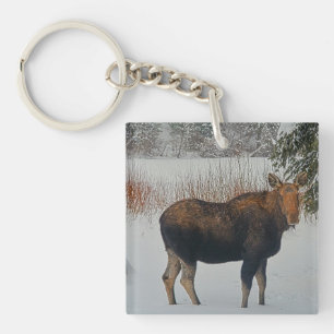 Wild Canadian Moose in Winter Snow IV Keychain
