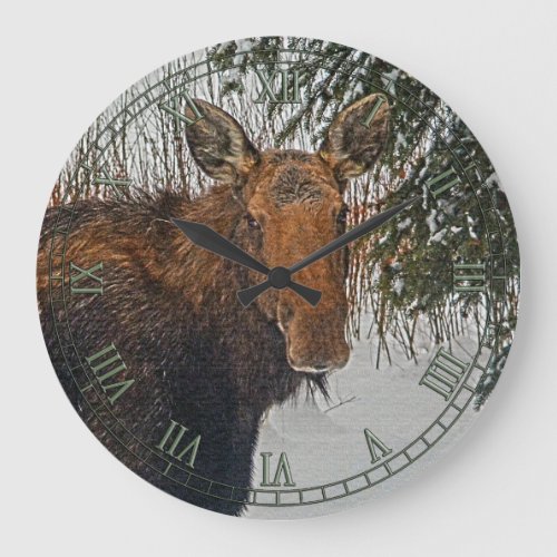 Wild Canadian Moose in Winter Snow IV Large Clock