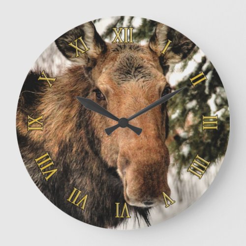 Wild Canadian Moose in Winter Snow Large Clock