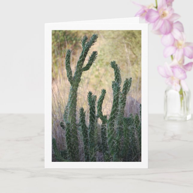 Wild Cane Cactus Card (Orchid)