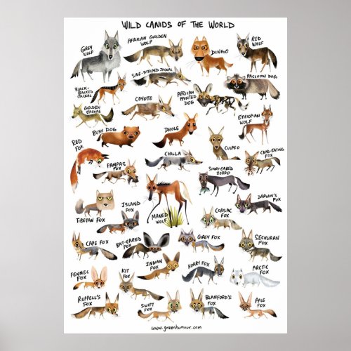 Wild Canids of the World Poster