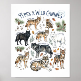 Wild Canines Watercolor Animal Wildlife Art Poster