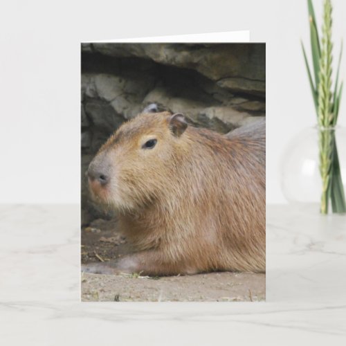 Wild Capybara Greeting Card