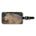 Wild Capybara Luggage Tag