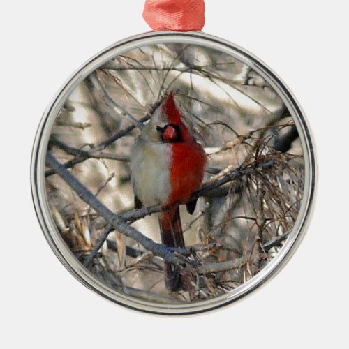 Wild Cardinal Bird Half Male Half Female Metal Ornament