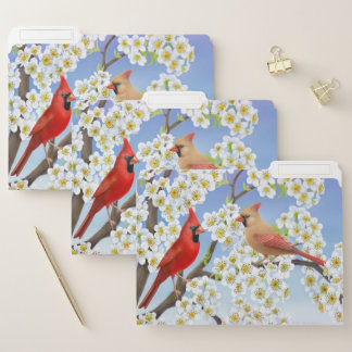 Wild Cardinal Birds in Apple Tree File Folders