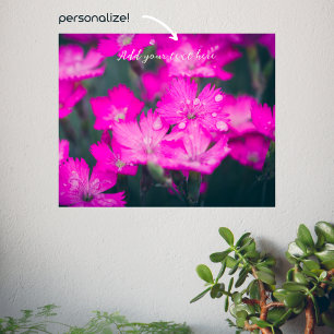 Wild carnations after rain poster
