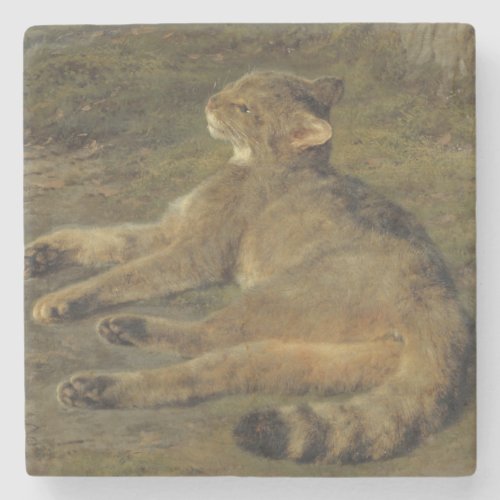 Wild Cat by Rosa Bonheur Stone Coaster