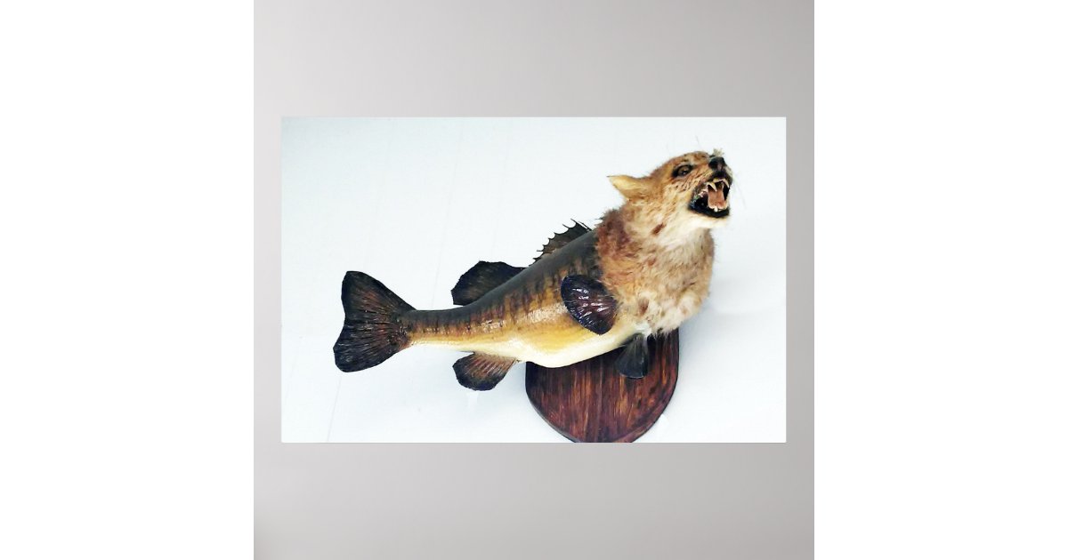 Wild Cat CatFish Bass Funny Taxidermy Poster Art