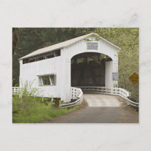Wild Cat covered bridge, Lane County, Oregon Postcard