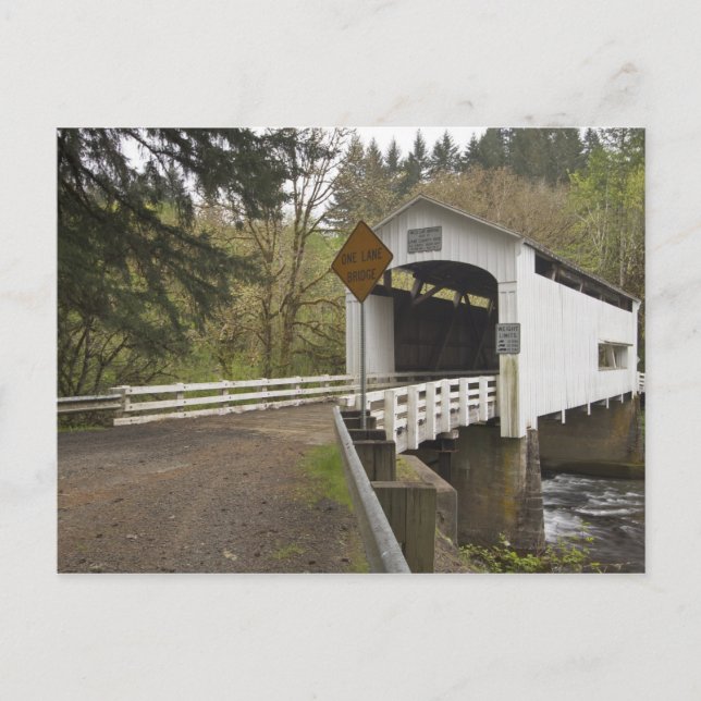 Wild Cat covered bridge, Lane County, Oregon Postcard (Front)