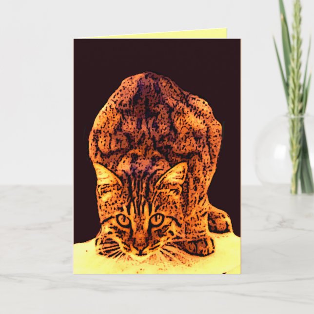 WILD CAT KITTEN CARD (Front)