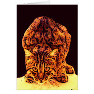 WILD CAT KITTEN CARDS