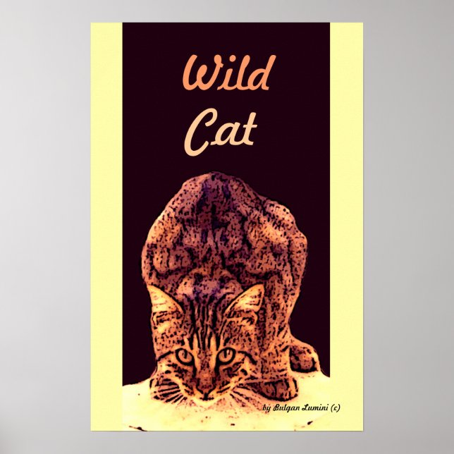 WILD CAT KITTEN POSTER (Front)
