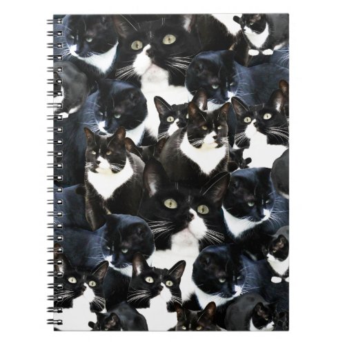 Wild Cat Madness Fun Kitty Photo Collage Art Notebook