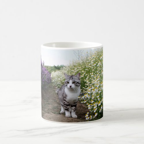 Wild Cat Nyankichi [Chamomile] Coffee Mug