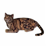 wild cat statuette<br><div class="desc">Wild cat</div>