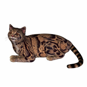 wild cat statuette