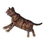 wild cat statuette<br><div class="desc">A beautiful wild cat</div>