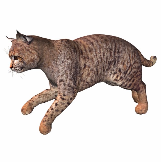 wild cat statuette (Front)