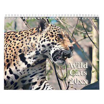 Wild Cats Animal Wildlife Calendar by elizme1 at Zazzle