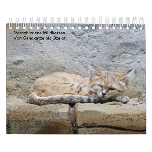 wild cats calendar