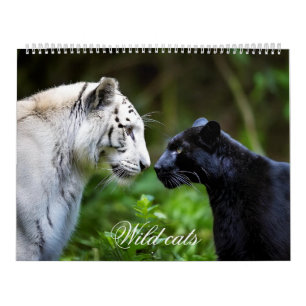 Wild cats calendar