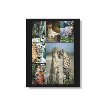 Wild cats collage Wrapped Canvas