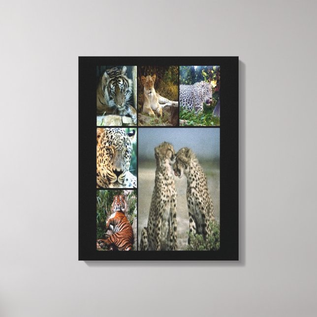 Wild cats collage Wrapped Canvas Print (Front)