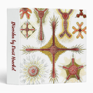 Wild Chamomile by Ernst Haeckel, Vintage Nature 3 Ring Binder