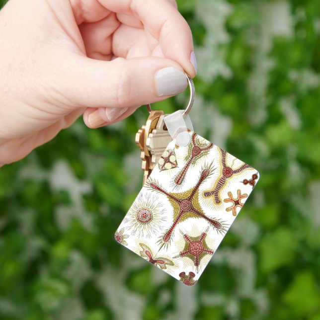 Wild Chamomile by Ernst Haeckel, Vintage Nature Keychain (Hand)