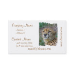 Wild Cheetah Business Cards