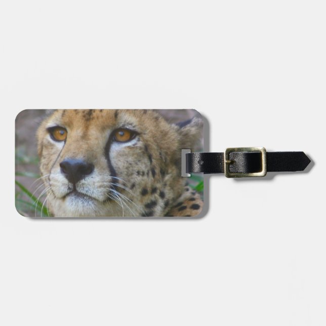 Wild Cheetah Luggage Tag (Front Horizontal)