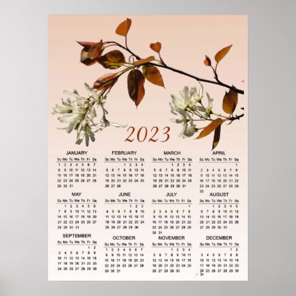Wild Cherry Blossom Flowers 2023 Calendar Poster