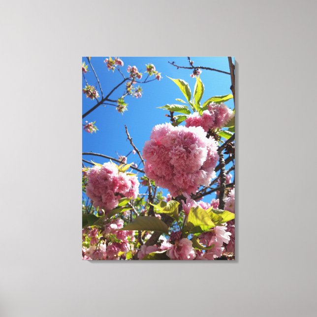 Wild Cherry pink Blossom Tree Canvas Print (Front)