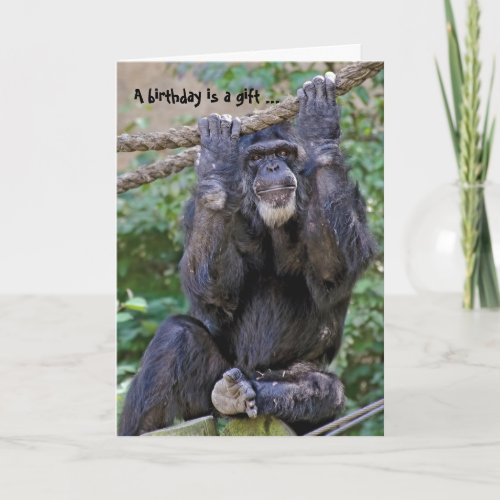 Wild Chimp Humor Card