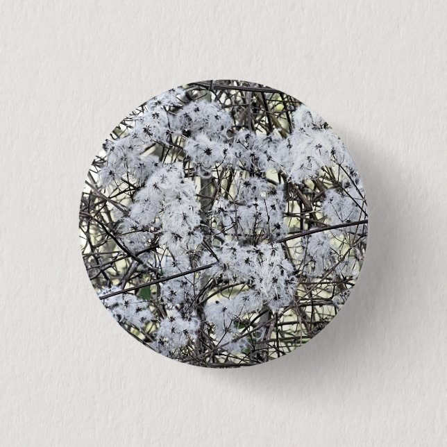 WILD CLEMATIS   BUTTON (Front)