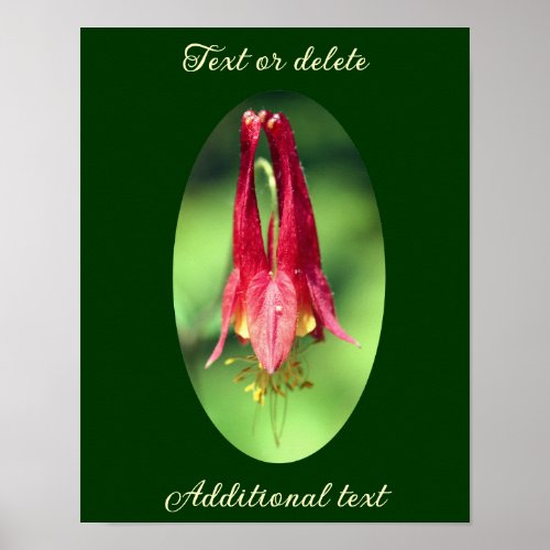 Wild Columbine Flower Add Your Text Poster