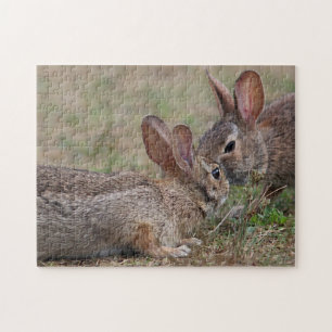 Wild cottontail rabbits jigsaw puzzle